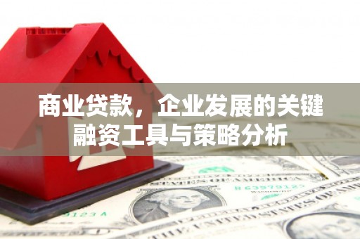 新洲商业贷款，企业发展的关键融资工具与策略分析