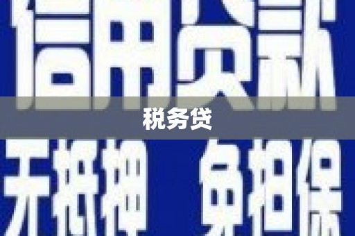 博尔塔拉蒙古税务贷