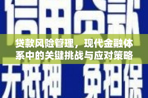 石楼贷款风险管理，现代金融体系中的关键挑战与应对策略
