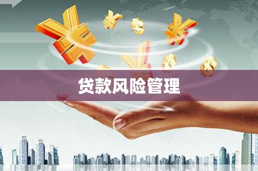 褒忠贷款风险管理