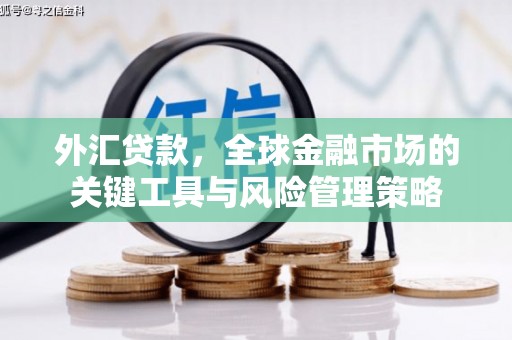 迭部外汇贷款，全球金融市场的关键工具与风险管理策略
