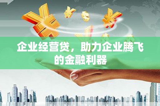 临武企业经营贷，助力企业腾飞的金融利器