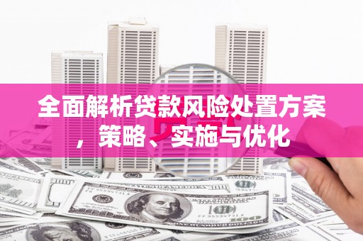 贵溪全面解析贷款风险处置方案，策略、实施与优化