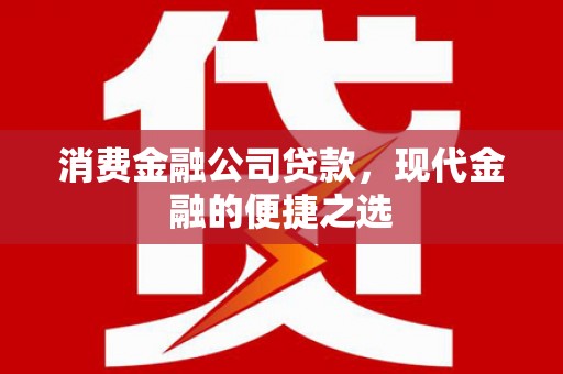 普安消费金融公司贷款，现代金融的便捷之选
