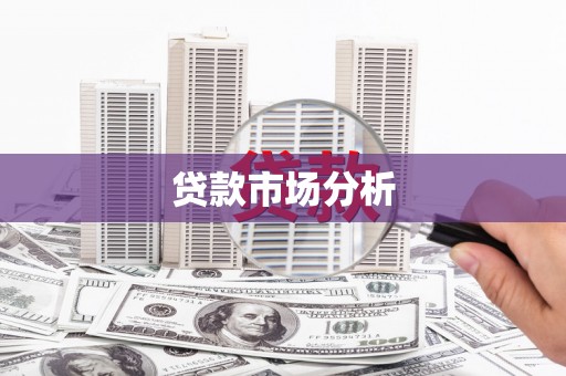 楠西贷款市场分析