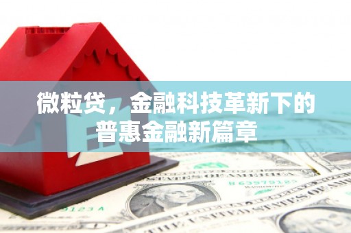 长白微粒贷，金融科技革新下的普惠金融新篇章