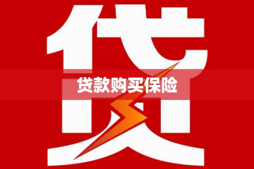 历下贷款购买保险