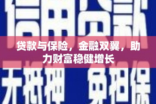 池上贷款与保险，金融双翼，助力财富稳健增长