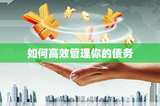 阿尔山如何高效管理你的债务