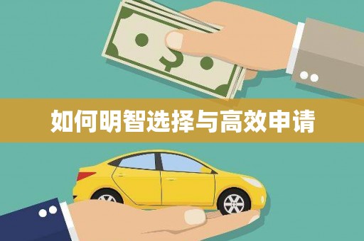 新县如何明智选择与高效申请