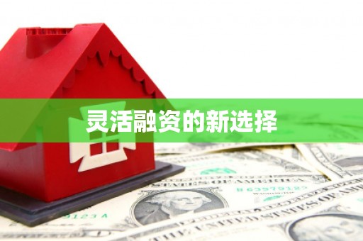六枝灵活融资的新选择