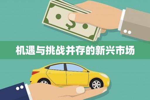 旬阳机遇与挑战并存的新兴市场