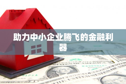 天宁助力中小企业腾飞的金融利器
