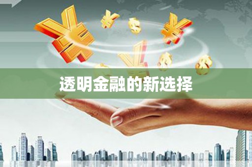 随州透明金融的新选择