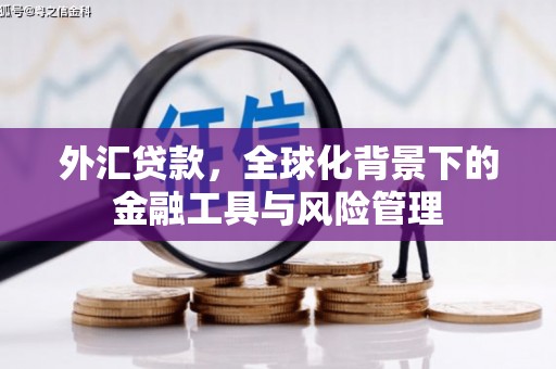 利通外汇贷款，全球化背景下的金融工具与风险管理