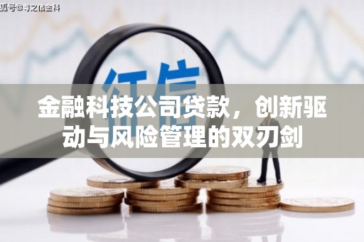 馆陶金融科技公司贷款，创新驱动与风险管理的双刃剑