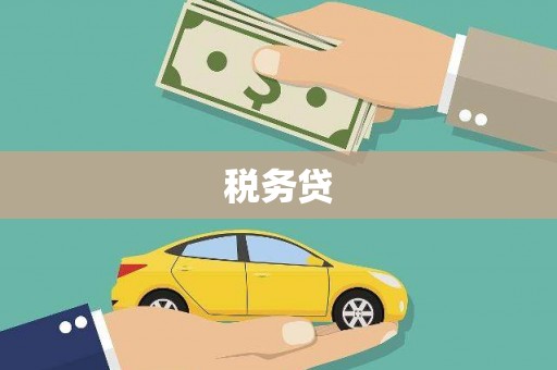 内湖税务贷